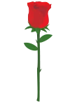Rose Rose